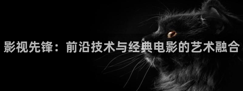 电影天堂网午夜